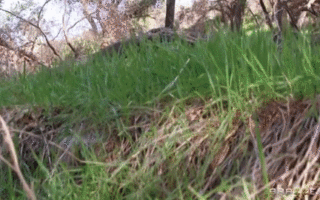 Demi Sutra, Gia Derza on Brazzers: Glamping With Glory Holes