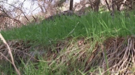 Demi Sutra, Gia Derza on Brazzers: Glamping With Glory Holes