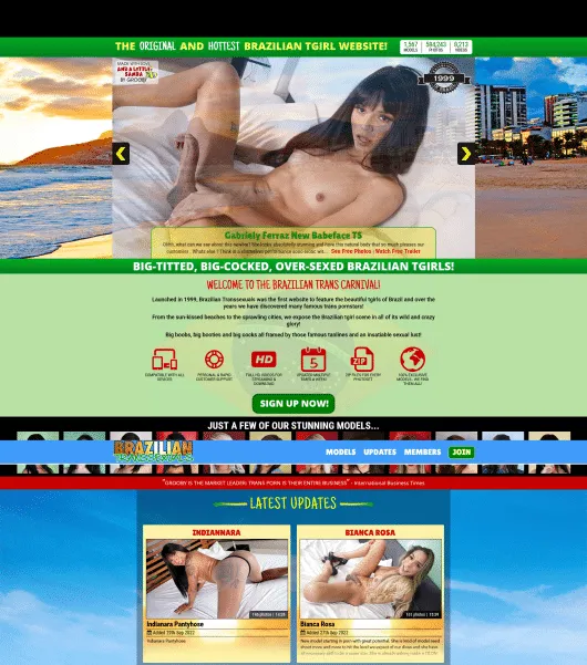 Visit BrazilianTranssexuals