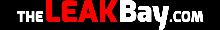 TheLeakBay logo