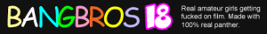 BangBros18 logo