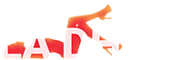 Il logo di LaidHub