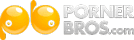 PornerBros-Logo