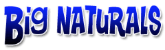 BigNaturals logo