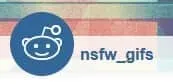 /r/NSFW_Gifs logo