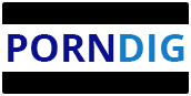 PornDig logo